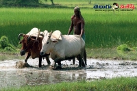Farmers to andhra pradesh secretariate to issue loan weaver