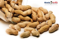 Groundnut health benefits heart related problems home remedies