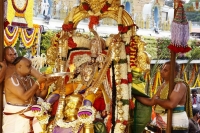 Tirumala bramhostavam srivaru on hanumantha vahanam