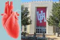 University of houston biochemistry researchers repair and regenerate heart muscle cells