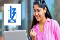 Indian bankrecruitment apply for 312 specialist officer posts at ibps in