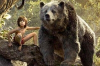 The jungle book earns all time high net profit of rs 173 crores