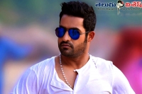 Ntr sukumar latest film shooting updates