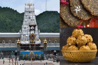 Tirumala trupati devasthanam brings vada prasadam available to srivari devotees