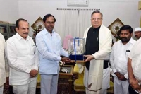 Raman singh seeks early green nod for irrigation power projects