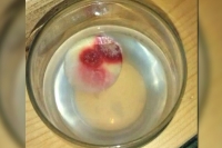Communion wafer bleeding turns miracle