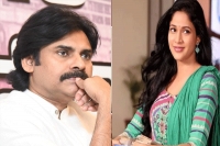 Vakeel saab lavanya tripathi to play the female lead opposite pawan kalyan