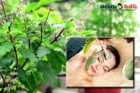 Best healthy leaves for skin beauty home remedies
