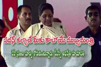Mayawati urges people of ap to give pawan kalyan a chance