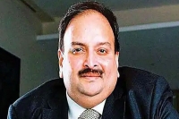 Pnb case dominica detains mehul choksi for illegal entry faces repatriation to antigua