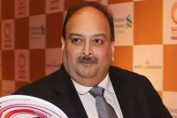 Fresh case against choksi will not stand in court says his lawyer