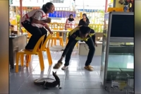 Watch woman climbs chair ends up in tears after spotting monitor lizard in restaurant
