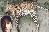 Uttarakhand villager killed leopard with sickle to save own life