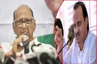 Sharad pawar announces expulsion of nephew from ncp