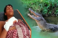 Close shave for minor boy after being dragged by crocodile in kendrapara