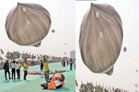 International kite festival onion kites attract the audience