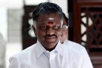 Ops tweet on alliance with bjp kicks up storm in tamil nadu