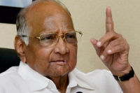 Only pulwama like incident can change mood of people in maharashtra says sharad pawar