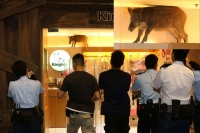 A pig entered into a shopping mall at hongkong