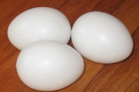 People shocks over eggs being bounced in nellore of andhra pradesh confirms it as plastic ones