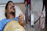 Python bites man s penis while he was in toilet