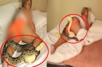 Man drops two giant pythons on sleeping girlfriend