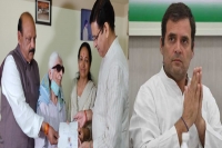 Country needs him 78 year old woman transfers all her property in rahul gandhi s name