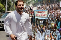 Rahul gandhi demands centre deliver on armed forces demands as diwali gift