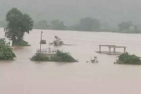 Rainfall in telangana imd issues red alert for 24 districts in telangana