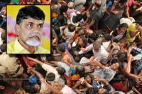 Chandrababu naidu cause of deaths at rajahmundry pushkaralu collector report