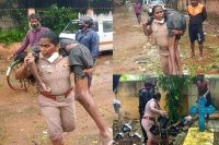 Woman police inspector carries unconscious man on her shoulders