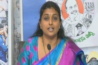 Shock to ycp mla roja set back in high court