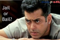 Will salman khan get bail or jail salman khan sentenced for 5years jail to him