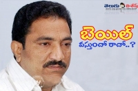 Sandra venkateveeriah bail petetion willbe prosecute today
