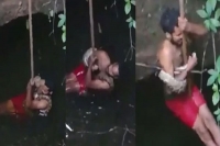Man falls into well with a snake while rescuing it video will give you chills