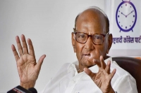 Received love letter sharad pawar s swipe at centre on tax notice