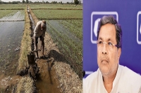 Siddaramaiah waives off rs8 165 crore farm loans in karnataka