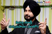 Why sidhu not contesting in punjab elections