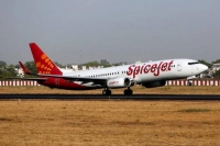 Spicejet celebrates republic day with new offer now fly at rs 769