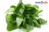 Spinach health benefits home remedies best foods