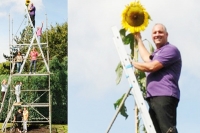 30 foot tall sunflower breaks guinness world record