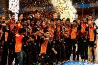 Sunrisers hyderabad beat royal challengers to win ipl 2016