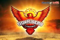 Sunrisers need to rise from todays match with banglore royals