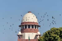 Skin to skin contact not essential for pocso offence supreme court