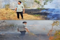 Actor friends douse fire along hill near katraj tunnel in mumbai