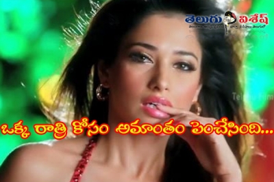 తమన్నా కోటిన్నర పారితోషకం ఎందుకోసం?
