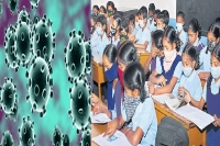 Coronavirus students suffering from cold and fever can take leave telangana govt