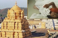 Thieves hulchul in tirumala looted tamilnadu devotees