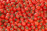 Tomato is the new petrol as prices cross rs 120 mark in many cities across india