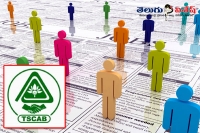 Telangana state co operative apex bank ltd jobs notifications recruitment staff assistants manager posts